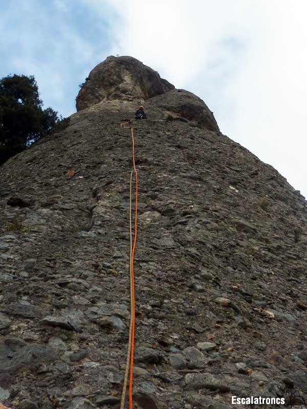 Boníca tercera tirada